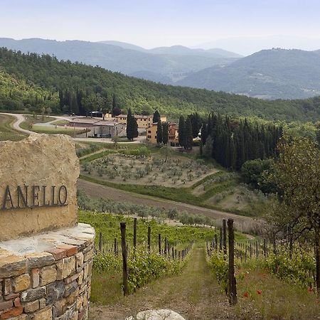 Agriturismo Panzanello Villa Panzano in Chianti Exterior photo